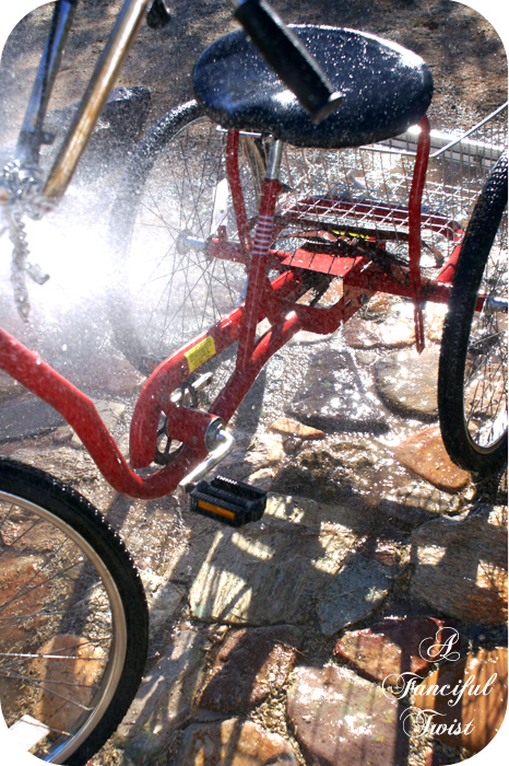 This little piggy 14