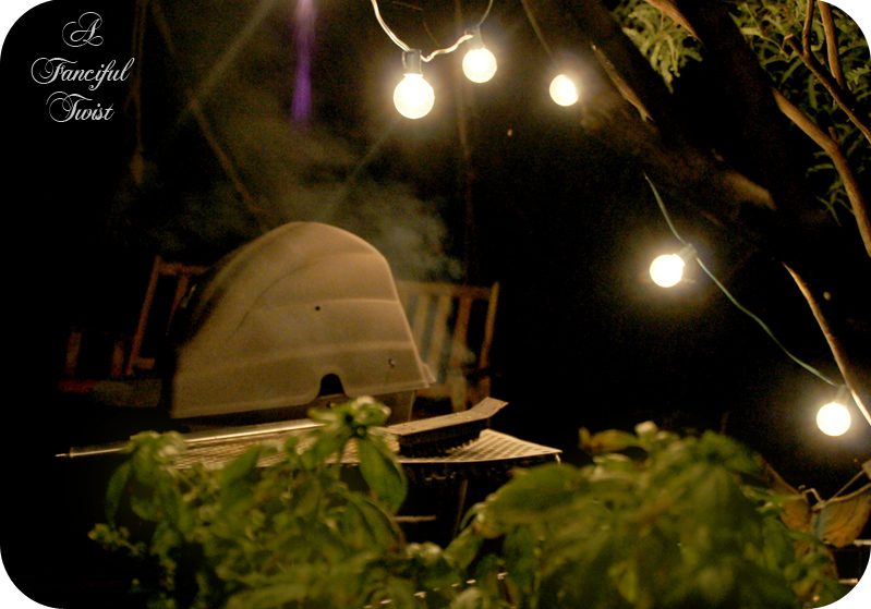 Desert wonderland 26