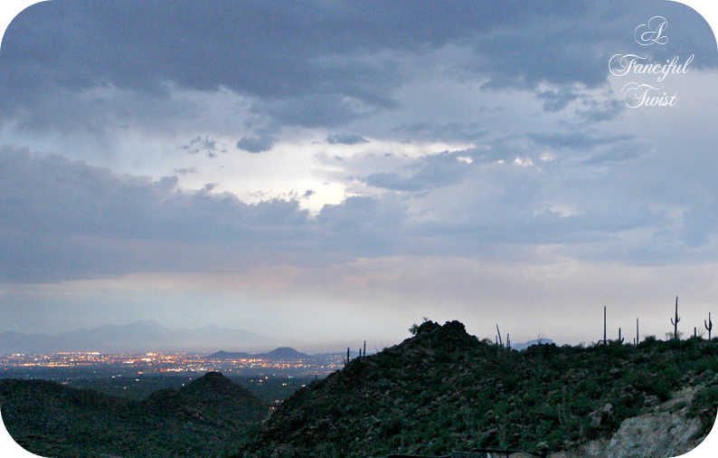 Desert wonderland 10