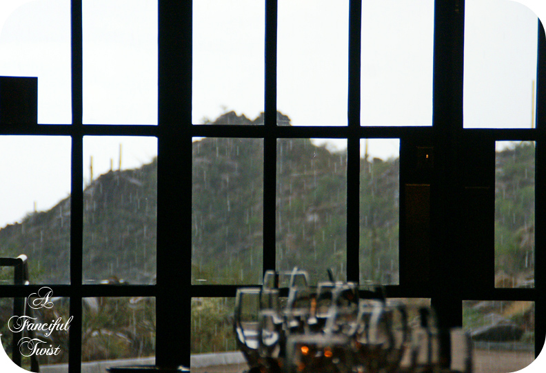 Desert wonderland 14