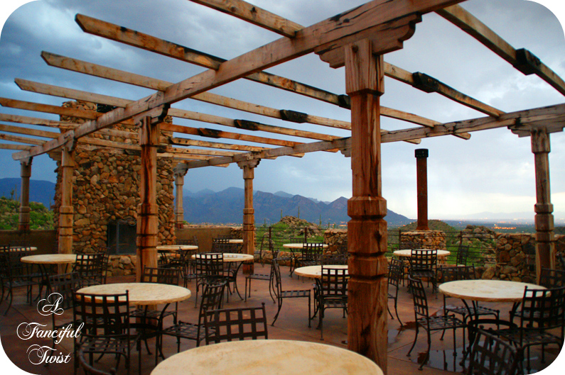 Desert wonderland 19