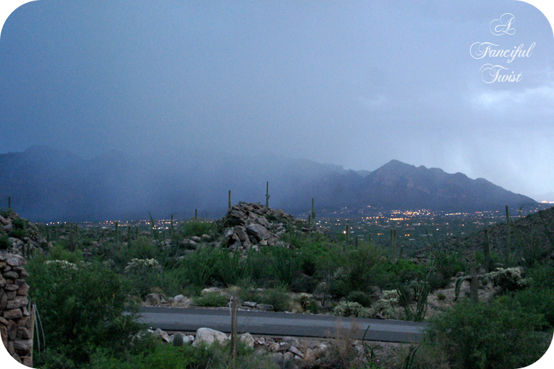 Desert wonderland 11