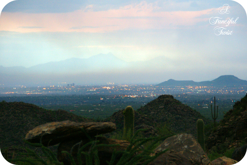 Desert wonderland 12