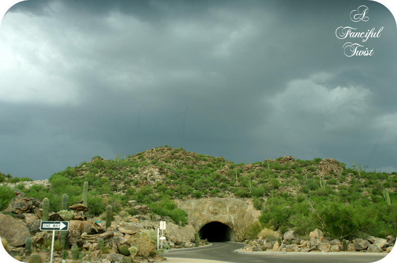 Desert wonderland 8 Desert wonderland 8