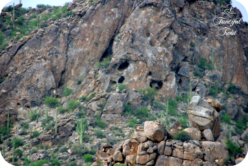 Desert wonderland 15