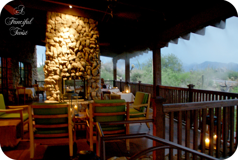 Desert wonderland 16