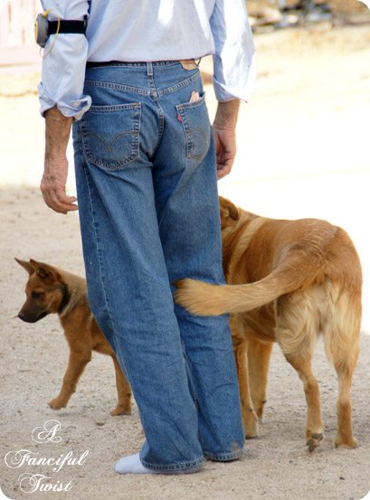 Nature collections 29