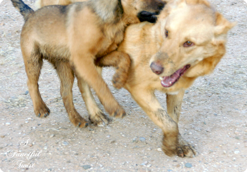 Nature collections 19