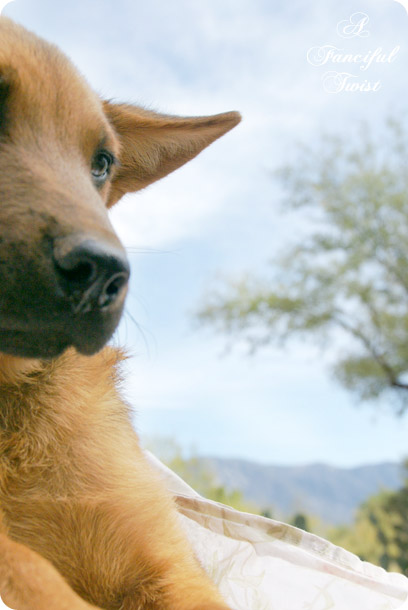 Nature collections 32