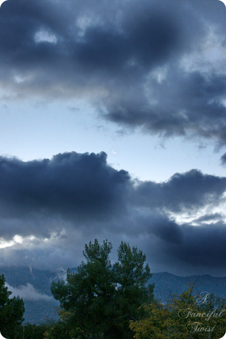 Nature collections 10