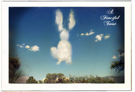Roos Bunny in the sky