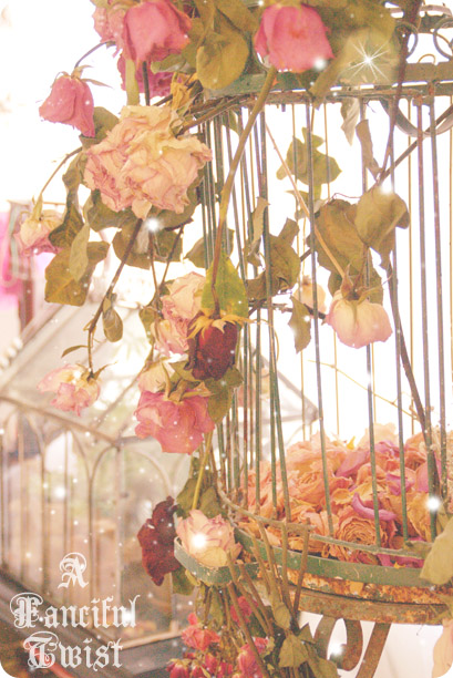 Wishes come true 2009 1