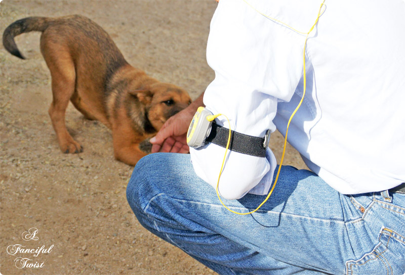 Nature collections 30