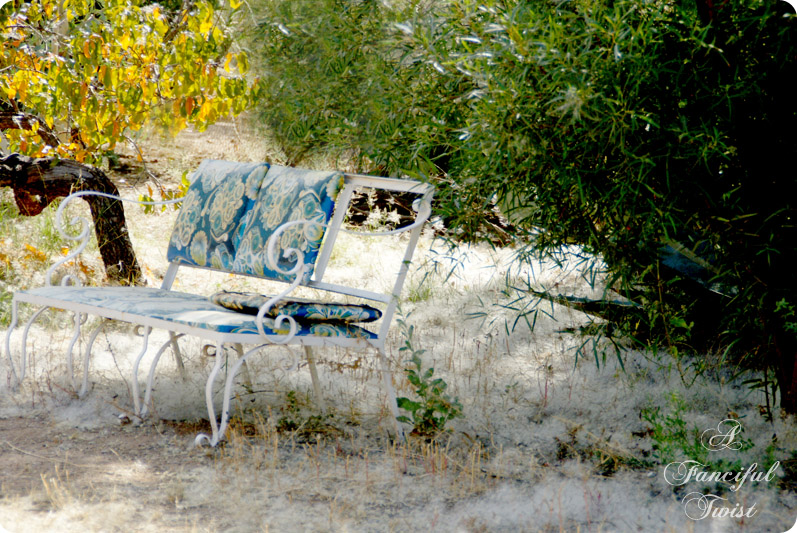 Nature collections 21