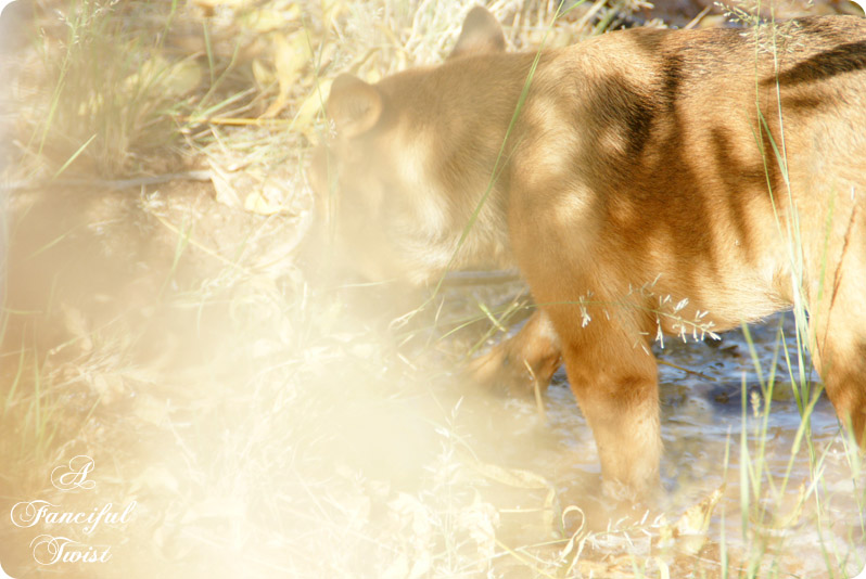 Nature collections 23