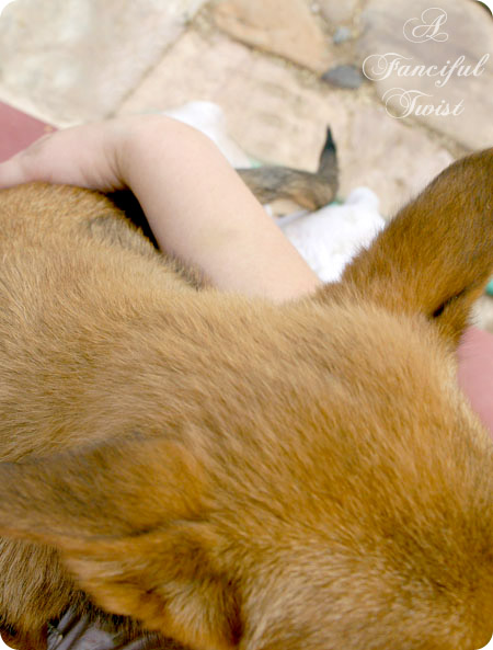 Nature collections 27 Nature collections 27