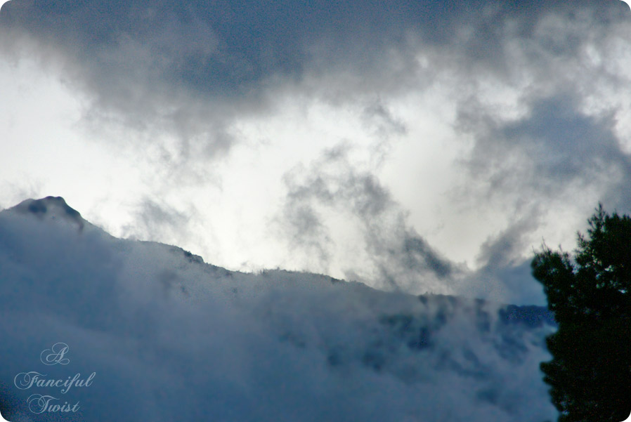 Nature collections 11