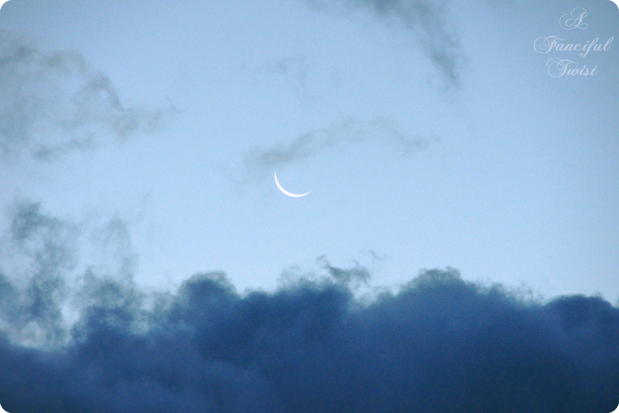 Nature collections 13