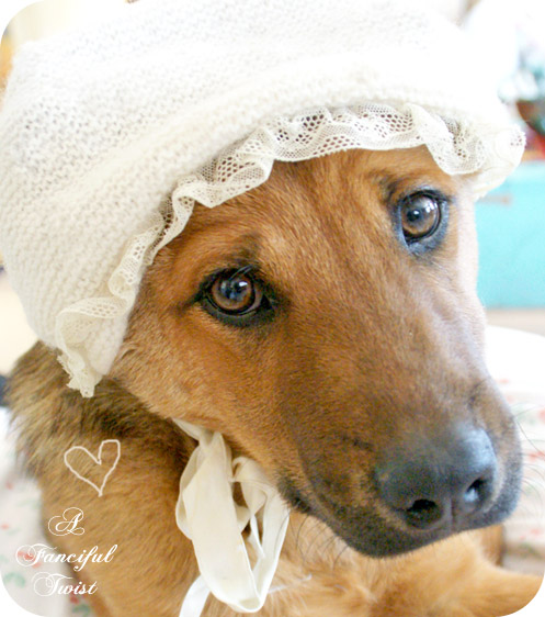 Matty love muffin 1a