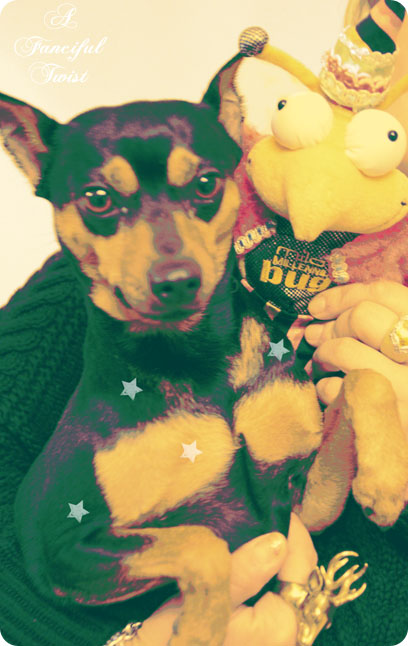 Milos takes on the holidays 11