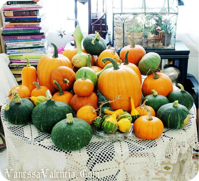 Vanessas Harvest Autumn 2010 W Vanessas Harvest Autumn 2010 W