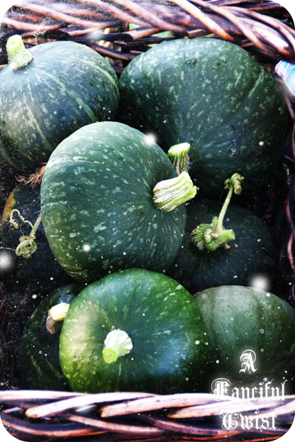 Marigold Monday 10 Marigold Monday 10