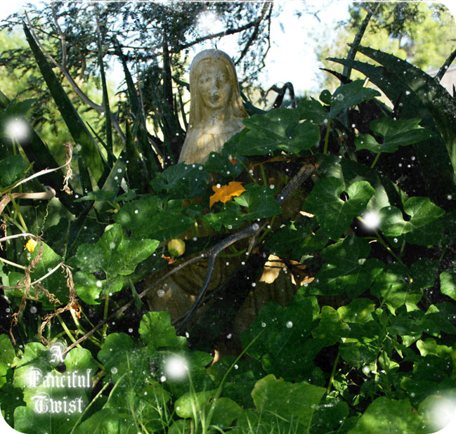 Marigold Monday 6 tiny pumpkin vine Marigold Monday 6 tiny pumpkin vine