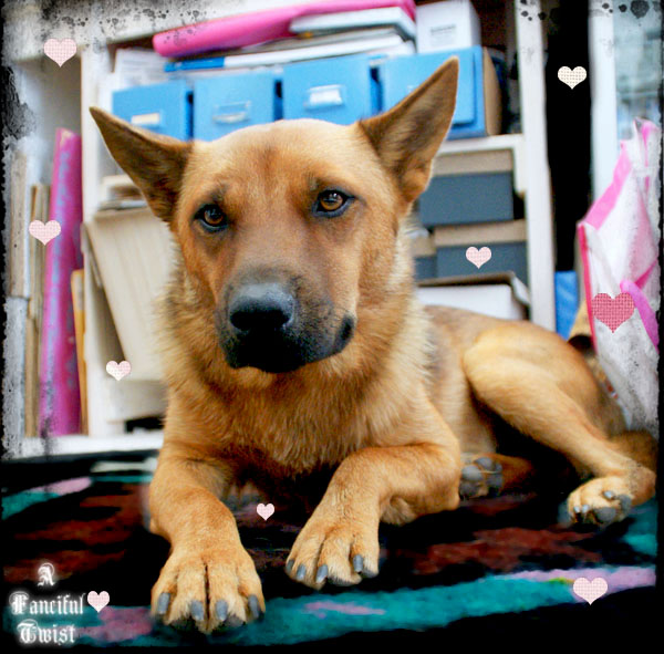 Paper spider web 49 Paper spider web 49