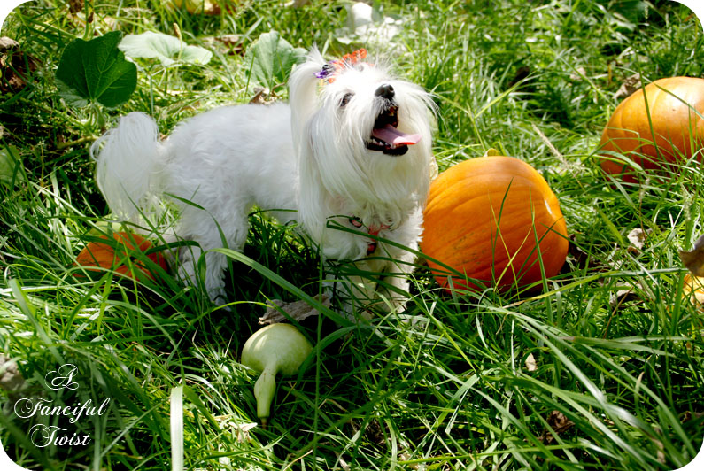 Welcome october 6 Welcome october 6