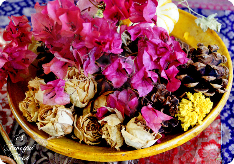 Welcome November 6 Welcome November 6