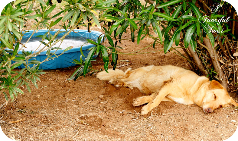 Nature and Deadlines 10