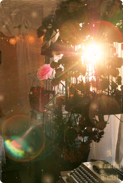 Autumn light 6 Autumn light 6