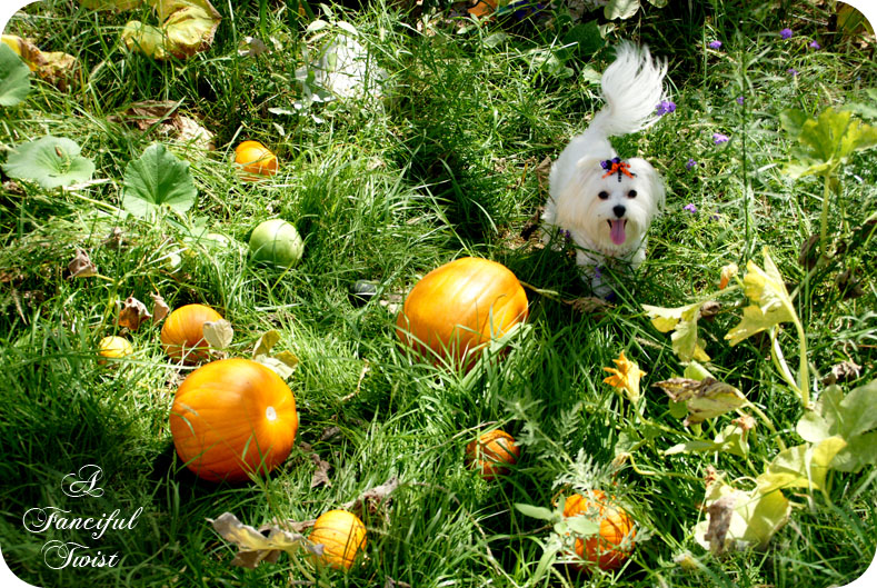 Welcome october 3 Welcome october 3