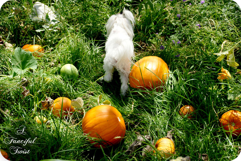Welcome october 4 Welcome october 4