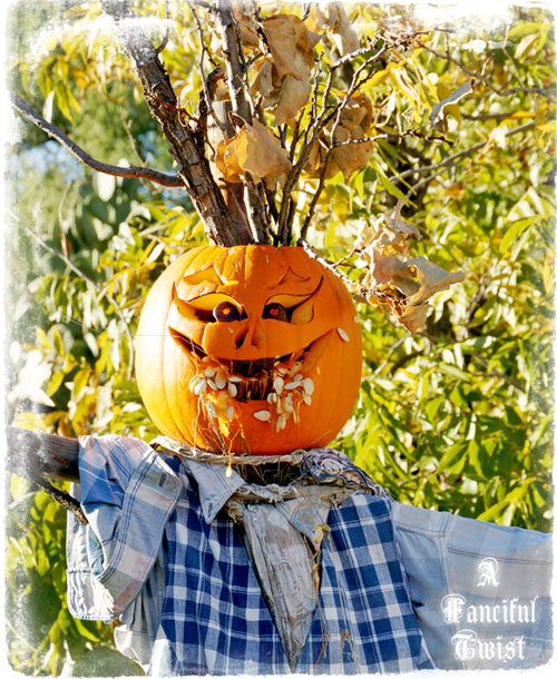 Halloween 24 Halloween 24