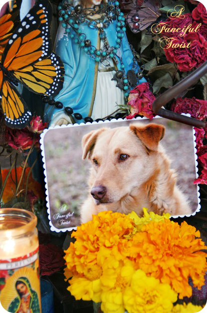 Dia de los muertos 4 Dia de los muertos 4