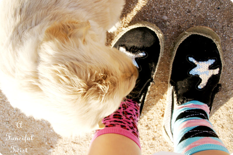 Puppy love 13 Puppy love 13