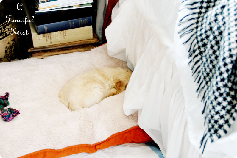 Puppy love 21 Puppy love 21