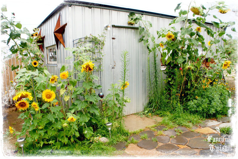 Patisserie in the gallery 1 Patisserie in the gallery 1