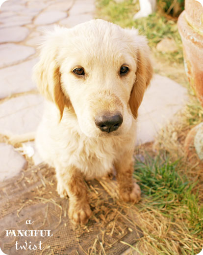 Collectibles and tidying 7 Collectibles and tidying 7