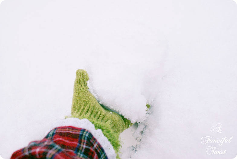 Desert southwest snow 2011 3 Desert southwest snow 2011 3