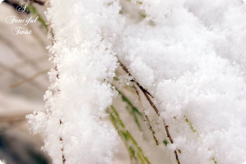 Desert southwest snow 2011 14 Desert southwest snow 2011 14