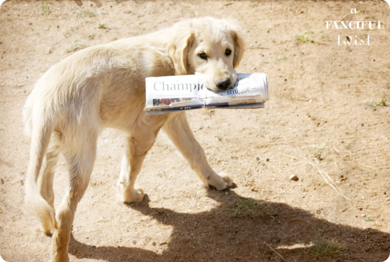 Miles Newspaper 3 Miles Newspaper 3