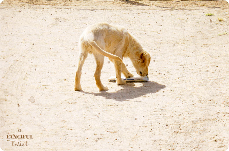 Miles Newspaper 1 Miles Newspaper 1