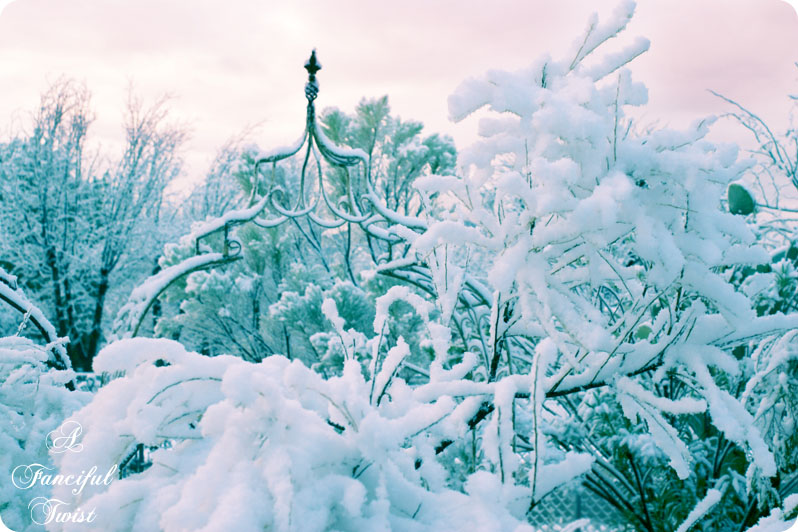 Desert southwest snow 2011 13 Desert southwest snow 2011 13