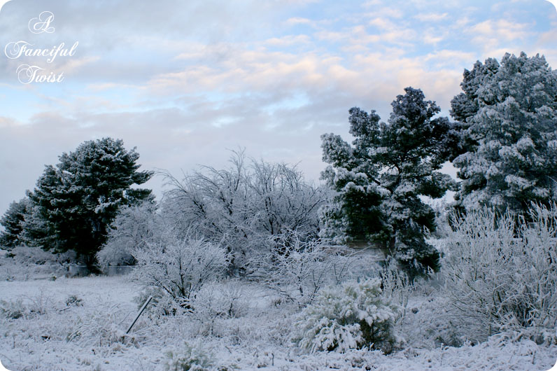 Desert southwest snow 2011 16 Desert southwest snow 2011 16