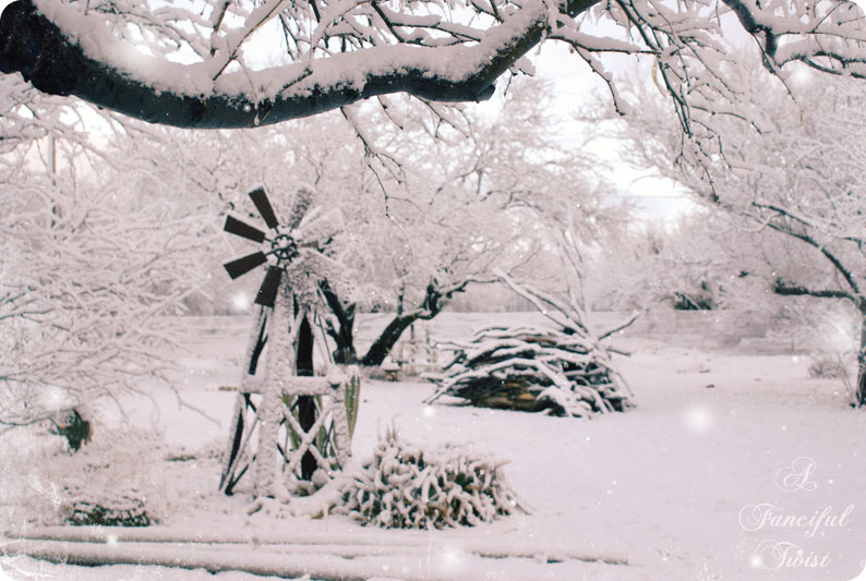 Desert southwest snow 2011 6 Desert southwest snow 2011 6