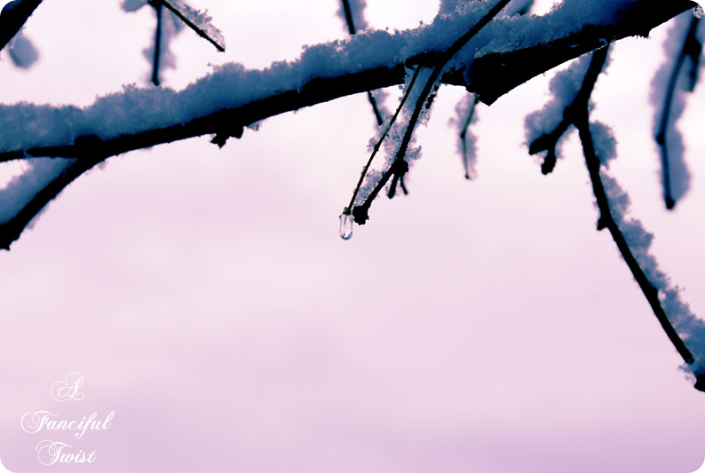 Desert southwest snow 2011 18 Desert southwest snow 2011 18