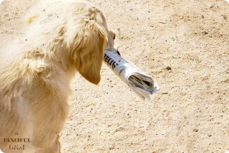 Miles Newspaper 2 Miles Newspaper 2