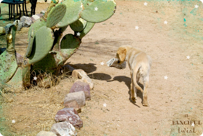 Miles Newspaper 5 Miles Newspaper 5